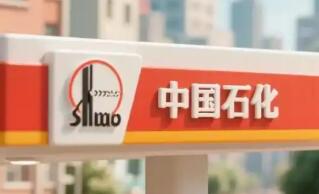 中國(guó)石化：攻堅(jiān)破局 轉(zhuǎn)型升級(jí)綜合能源服務(wù)商