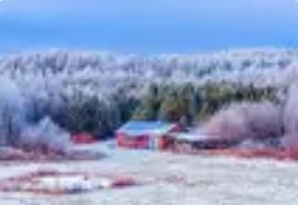 冬季內(nèi)蒙古 千里冰雪盛情迎遠(yuǎn)客