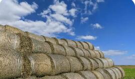 我國(guó)將精準(zhǔn)發(fā)力促農(nóng)業(yè)固體廢棄物“變廢為寶”