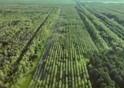 生態(tài)產(chǎn)品總值核算技術(shù)指南國家標(biāo)準(zhǔn)發(fā)布 助力“綠水青山”生態(tài)價(jià)值實(shí)現(xiàn)精準(zhǔn)量化