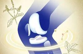 “骨關節(jié)健康”納入保健功能目錄　保健食品市場迎來“新風口”