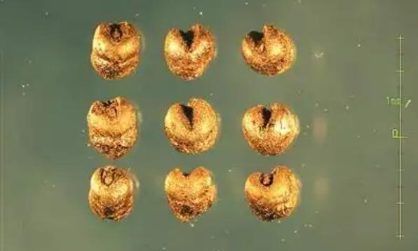 中國社科院發(fā)布重大考古成果讓遺存不再存疑