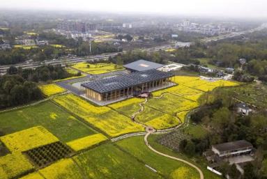 2025年四川農(nóng)村社會(huì)事業(yè)成效顯著 27個(gè)典型案例發(fā)布推廣