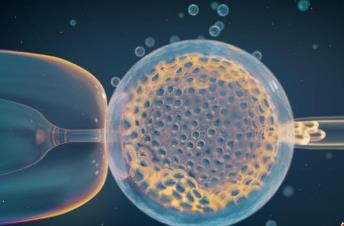 國際最新研究：常見遺傳變異引發(fā)風險或是導致流產(chǎn)主因