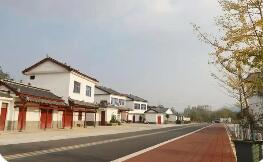 特色產業(yè)多點開花，鄉(xiāng)村振興活力滿格