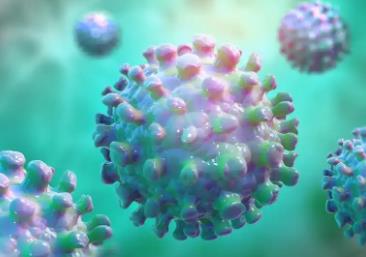 國家疾控局：我國尚未發(fā)現(xiàn)尼帕病毒病病例 疫情對我國產(chǎn)生的影響相對較小