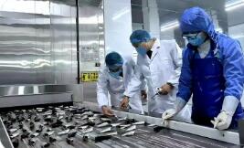 去年出口水產(chǎn)品近三十萬噸 “泉州味”水產(chǎn)品“出?！币?guī)模創(chuàng)新高