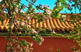 多項(xiàng)文旅數(shù)據(jù)指標(biāo)創(chuàng)歷史新高 北京文旅“十四五”答卷亮眼