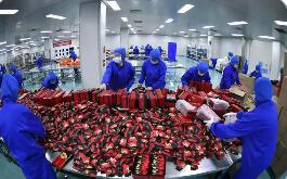 寧夏助力民營(yíng)經(jīng)濟(jì)高質(zhì)量發(fā)展再上新臺(tái)階