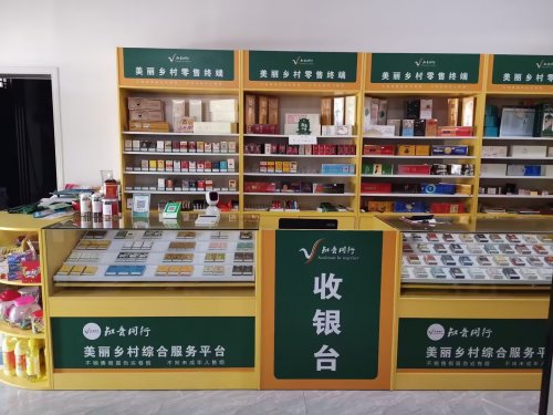 賦能終端，溫暖同行，共繪基層新圖景