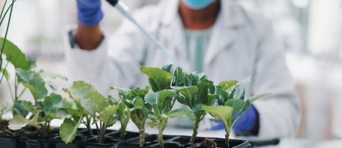 先正達(dá)實(shí)驗(yàn)室中的AI力量：解鎖農(nóng)業(yè)創(chuàng)新高效密碼