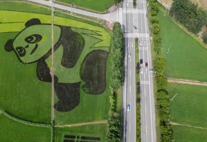 四川打造新時(shí)代更高水平“天府糧倉(cāng)” 糧食產(chǎn)量達(dá)到732.5億斤