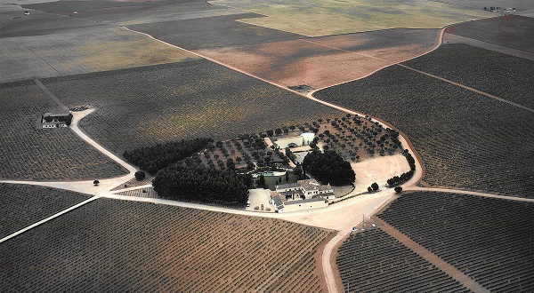 洛薩諾無(wú)醇、脫醇葡萄酒，憑什么成為年輕一代的“新酒桌共識(shí)”？