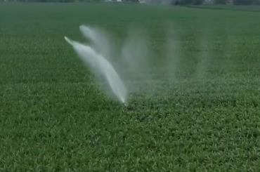 聚焦中央一號(hào)文件 高標(biāo)準(zhǔn)農(nóng)田建設(shè)加快 冬修水利按下“快進(jìn)鍵”