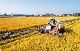 提高強農(nóng)惠農(nóng)富農(nóng)政策效能 激發(fā)鄉(xiāng)村振興動力活力