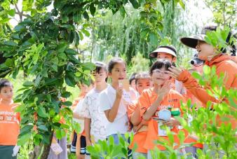 從“建設(shè)”到“示范”！“十四五”廣東自然教育答出優(yōu)秀卷