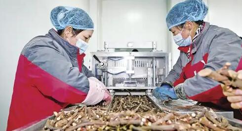 《中藥工業(yè)高質(zhì)量發(fā)展實(shí)施方案(2026—2030年)》解讀