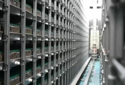 讓“中國糧”主要用“中國種” 我國完成種業(yè)振興“五年見成效”目標