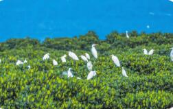 《中華人民共和國自然保護(hù)區(qū)條例》修訂通過 2026年3月15日起施行