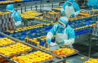 《罐頭食品加工工》國家職業(yè)技能標(biāo)準(zhǔn)通過終審