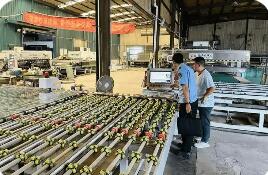 “蘇質(zhì)貸”破解企業(yè)融資難題 已惠及超過2萬家企業(yè)