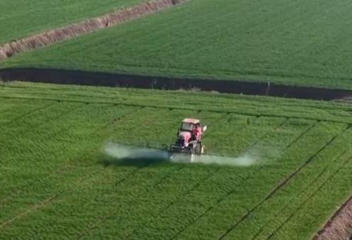 “良技+良法+良機”護航冬小麥田間管理 各主產(chǎn)區(qū)奮戰(zhàn)夯實夏糧豐產(chǎn)根基