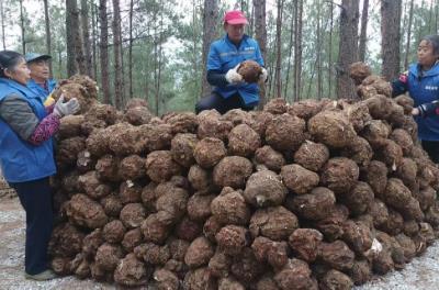 四川“十四五”藥械產(chǎn)業(yè)交出高質(zhì)量答卷