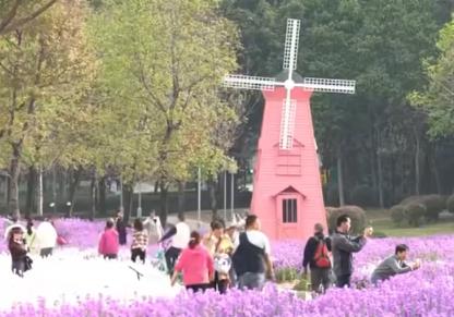 公園“玩”出“花樣”新年味 科技、運(yùn)動、生態(tài)為游客解鎖多元游園新體驗(yàn)