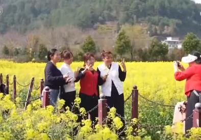 走“花路”、繪新景 農(nóng)文旅融合讓鄉(xiāng)村“冬閑田”變“增收田”