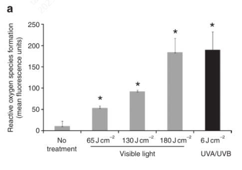 破解白癜風(fēng)復(fù)色困局：從“氧化應(yīng)激”機制到凈衡凝膠的臨床新思路