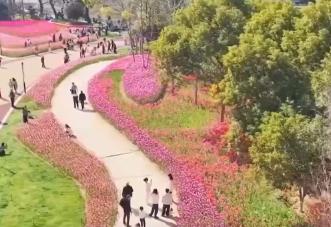 去踏青、共賞花，春意正濃！““春日經(jīng)濟”蓬勃綻放