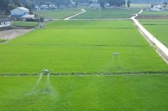 冬小麥春管進(jìn)展順利 科技助力高質(zhì)高效