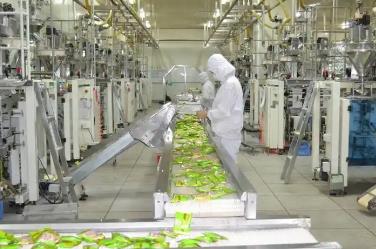 新鮮零食從“流量紅利期”邁入“供應(yīng)鏈深耕期”