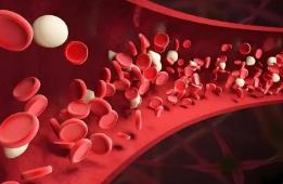 75%的成年血友病患者存在“靶關(guān)節(jié)”問(wèn)題，專家建議突破醫(yī)保 “出血才可報(bào)銷”限制