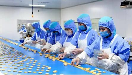 山東巨野：多元產(chǎn)業(yè)激活發(fā)展新動能