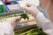 農(nóng)藥殘留檢測(cè)新國(guó)標(biāo)3月1日起正式實(shí)施