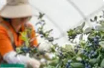 以思維升級(jí)做好“農(nóng)業(yè)+”