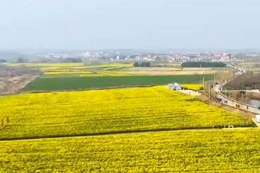 春天里的中國·勾勒春日農(nóng)耕圖