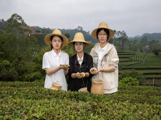 GLEW酵茶破局記：以科技重構(gòu)發(fā)酵美學(xué)，讓世界品嘗“中國(guó)智造”的新味道