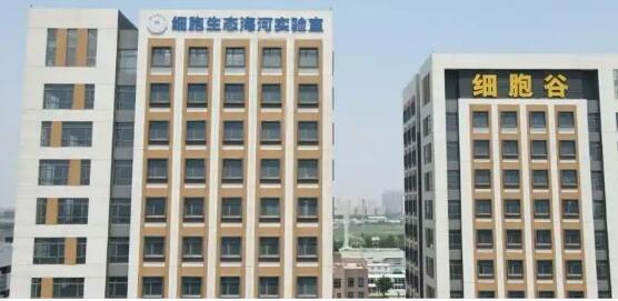 北方首個(gè)省級(jí)區(qū)域細(xì)胞制備中心落戶(hù)天津