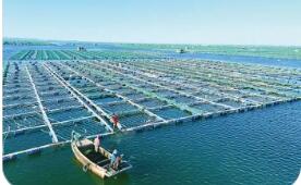 海洋經(jīng)濟質(zhì)效雙升 “十五五”將培育壯大新興產(chǎn)業(yè)