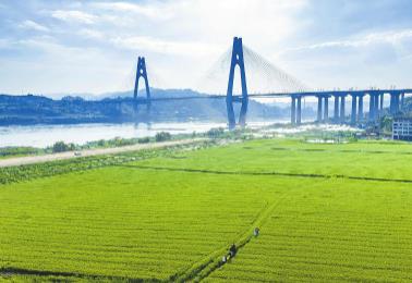 四川：春耕一線，看見“三變”