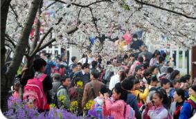 多地春假陸續(xù)落地 有望激發(fā)消費(fèi)市場新增量