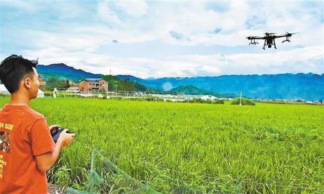 農(nóng)業(yè)蝶變 農(nóng)場搬線上 輕松當農(nóng)民