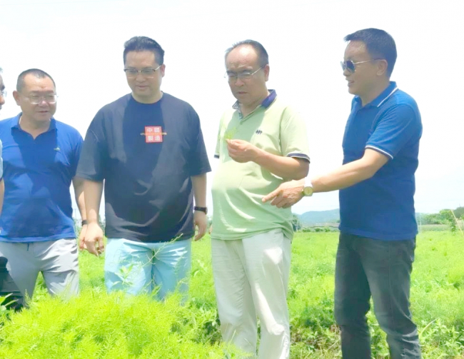黃海波會長深入指導(dǎo)廣西金旮旯生態(tài)產(chǎn)業(yè)園向更高質(zhì)量發(fā)展