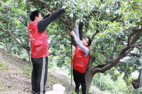 麗水青田縣煙草專賣局：奮進(jìn)新時(shí)代 書寫無悔青春篇章