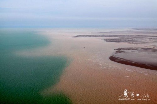 聲名從此大 汩沒(méi)一朝伸——2022東營(yíng)市旅游發(fā)展大會(huì)側(cè)記