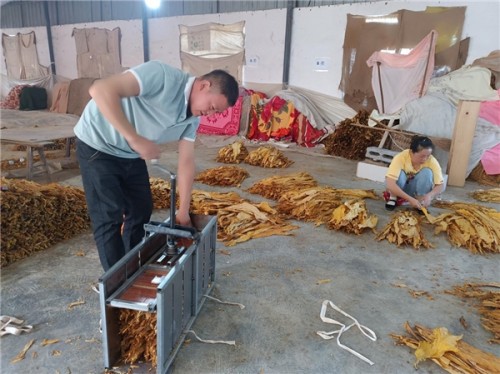 貴州省鳳岡縣煙草專賣局：煙葉收購設(shè)置“三桿秤”，稱出公正廉潔效益