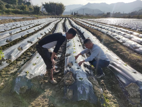 福建三明：當(dāng)好春耕“勤務(wù)員” 不負(fù)春光搶農(nóng)時