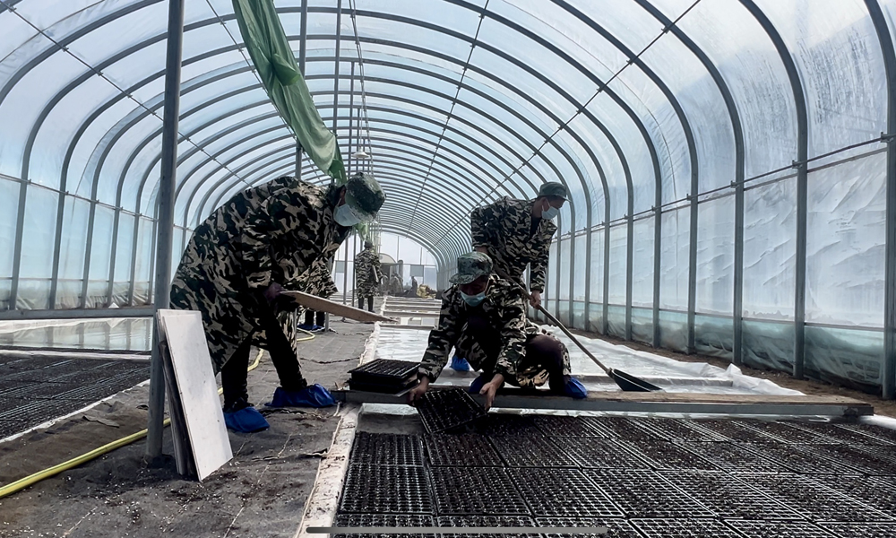 ?陜西咸陽煙草：迎雪而戰(zhàn)?？緹熒a(chǎn)